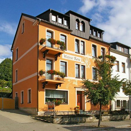 Pension Weisse Rose, Parkplatz, Fruehstueck, Wlan, Zentral Bad Elster Dış mekan fotoğraf
